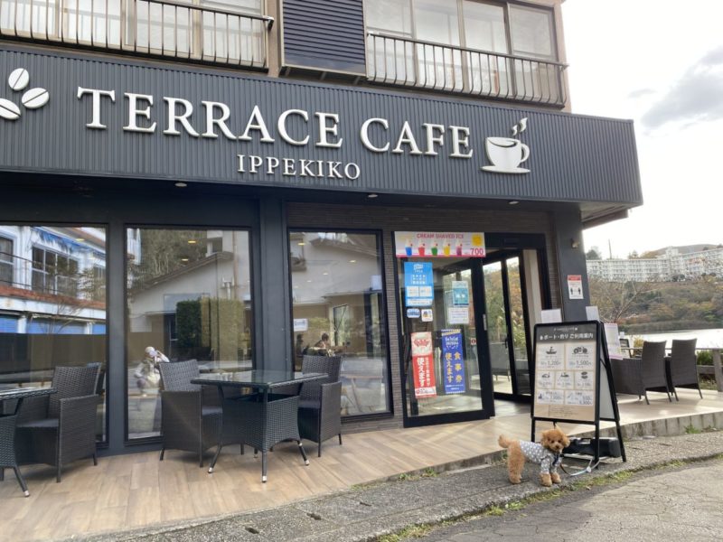 伊豆『TERRACE CAFE IPPEKIKO』でランチ