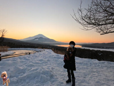 雪景色、夕日に染まる富士山