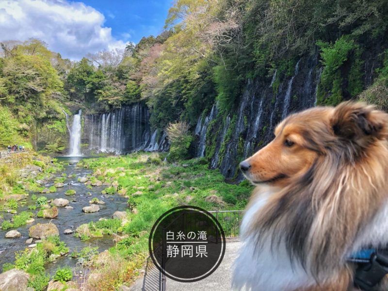 「白糸の滝」静岡県へ行ってきたよ♪