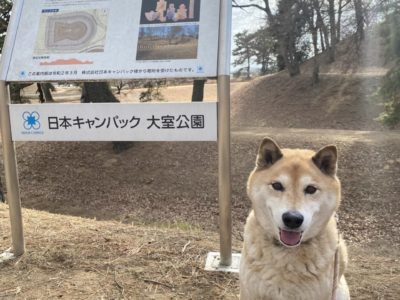 愛犬と散歩しながら古墳時代を体験できる公園