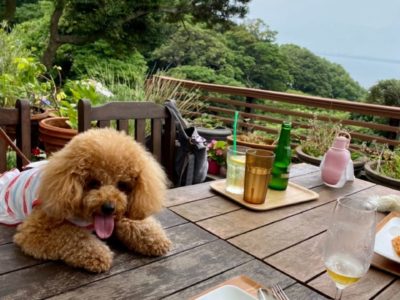 江の島から見晴らし抜群のカフェで夏を満喫！