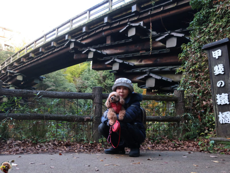 日本三奇矯の一つ、「猿橋」で紅葉狩り散歩。