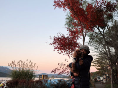 山中湖「夕焼けの渚　紅葉まつり」