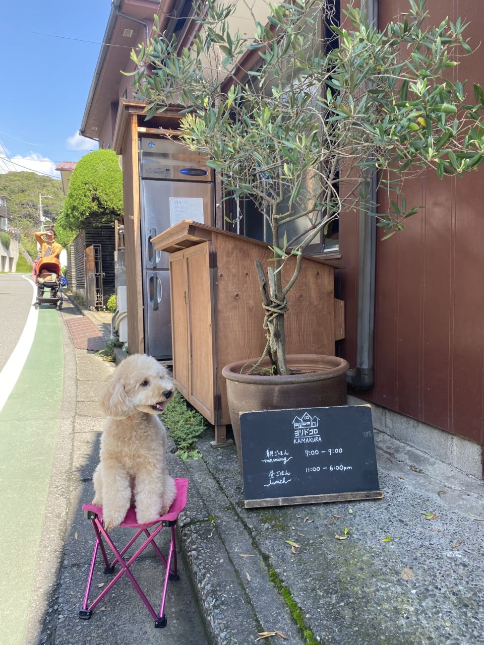 【ヨリドコロ 犬OK】江ノ電が目の前を通る古民家食堂 - Withわん | 愛犬お出かけ口コミ（クチコミ）サイト