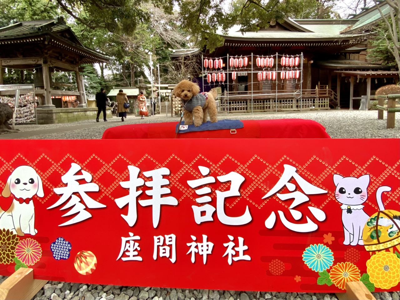 【座間神社 犬OK】神奈川・ペットと一緒に初詣『座間神社』 - Withわん | 愛犬お出かけ口コミ（クチコミ）サイト