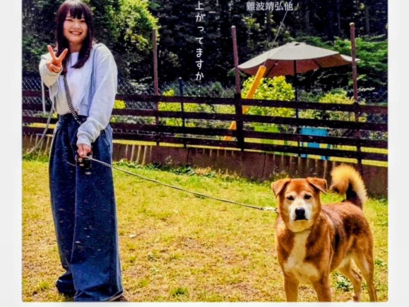 愛犬と一緒に映画観賞