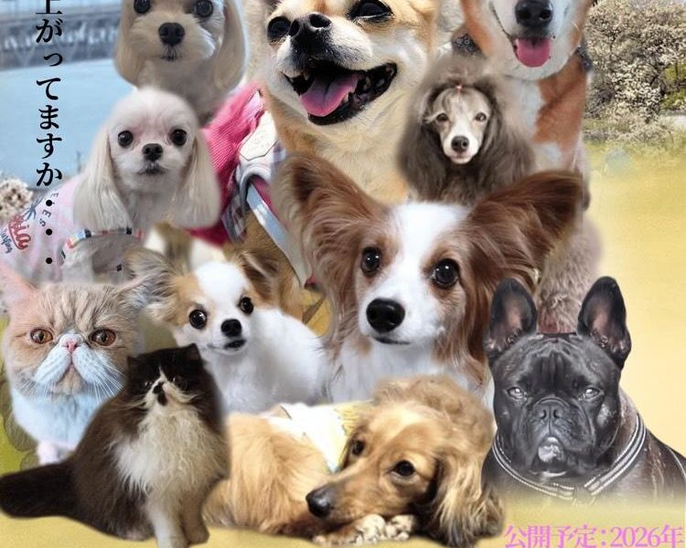 愛犬と一緒に映画観賞