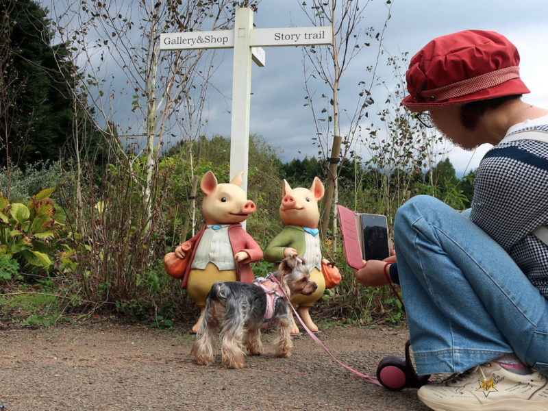 花を愛でながらワンコと散歩。